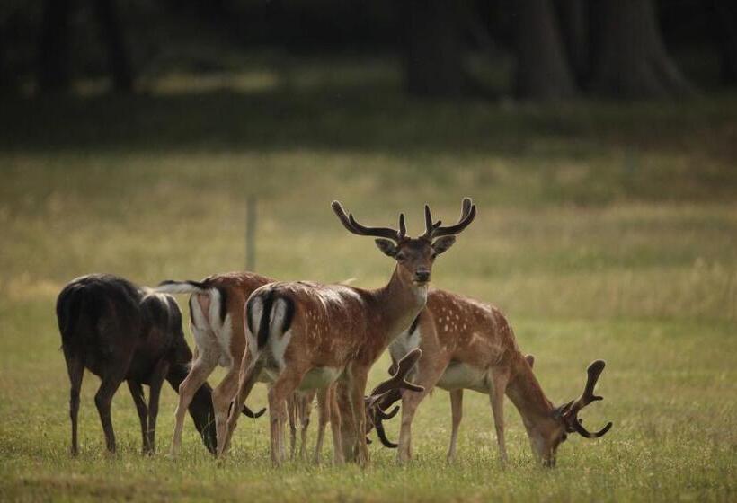 هتل Brijuni Rooms Karmen