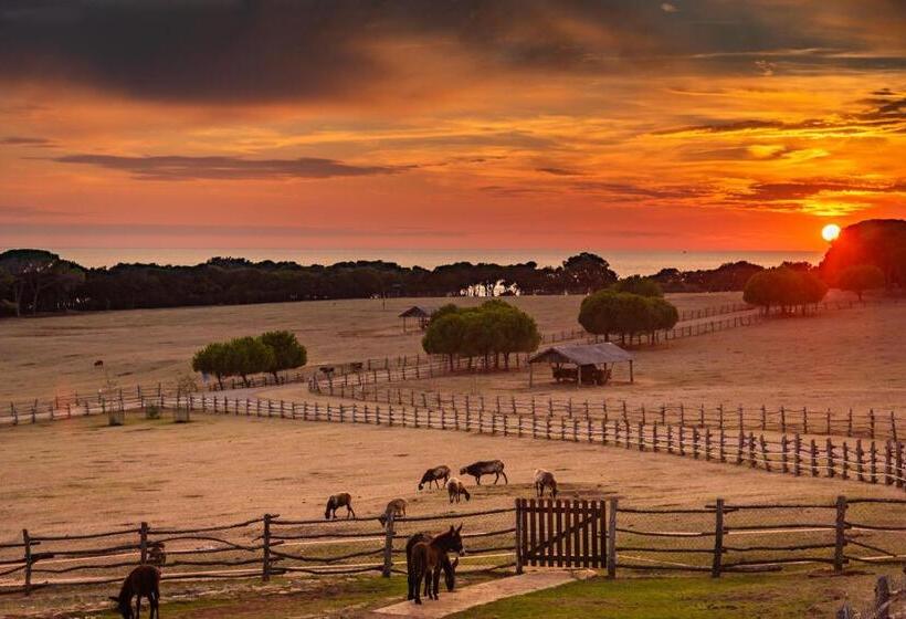 هتل Brijuni Rooms Karmen