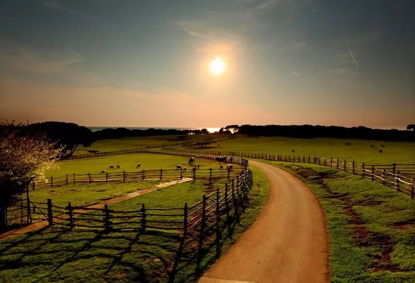 호텔 Brijuni Rooms Karmen