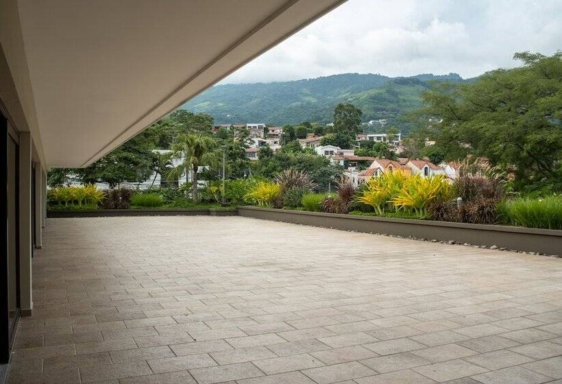 ホテル Hilton San Salvador