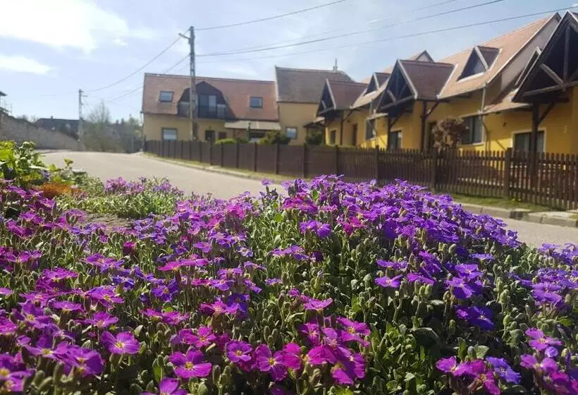 Отель Huber Panzió