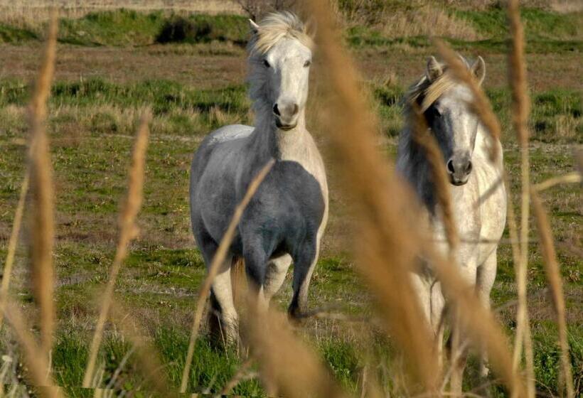 Отель Le Mas De Peint Teritoria