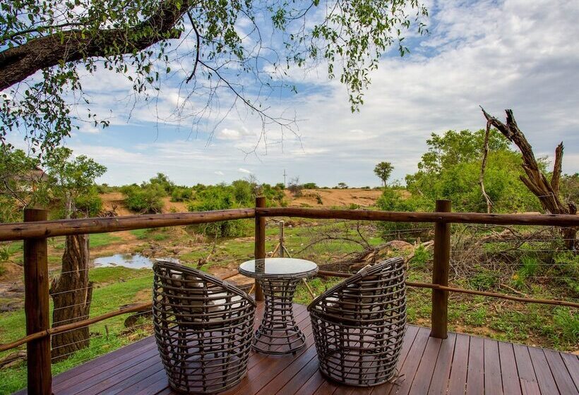 ホテル Madikwe River Lodge