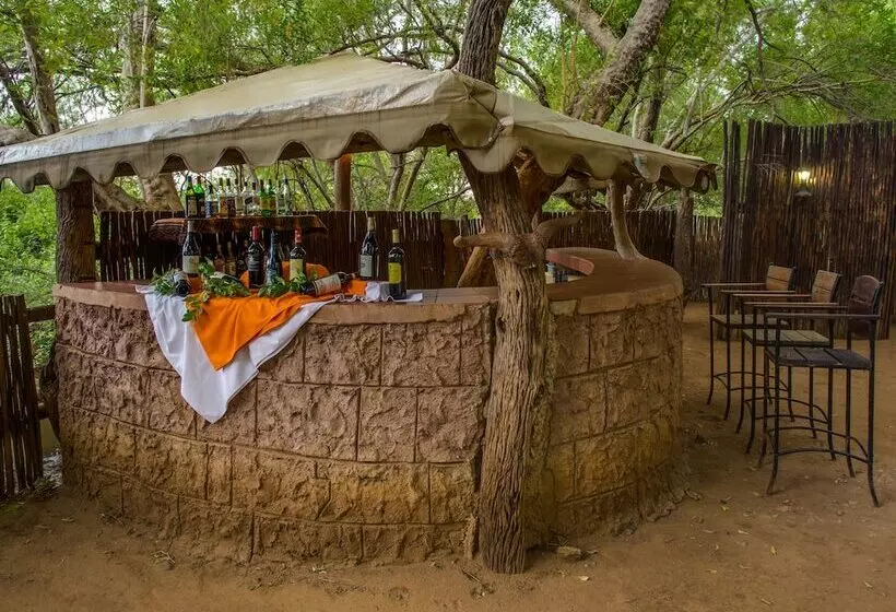 Отель Madikwe River Lodge