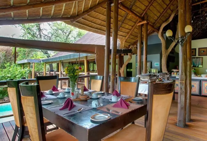 Отель Madikwe River Lodge