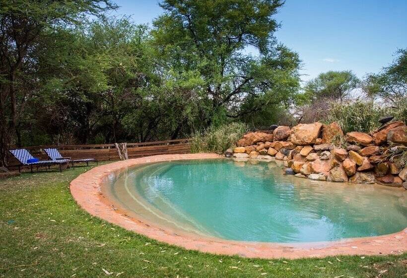 ホテル Madikwe River Lodge