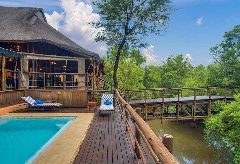 ホテル Madikwe River Lodge