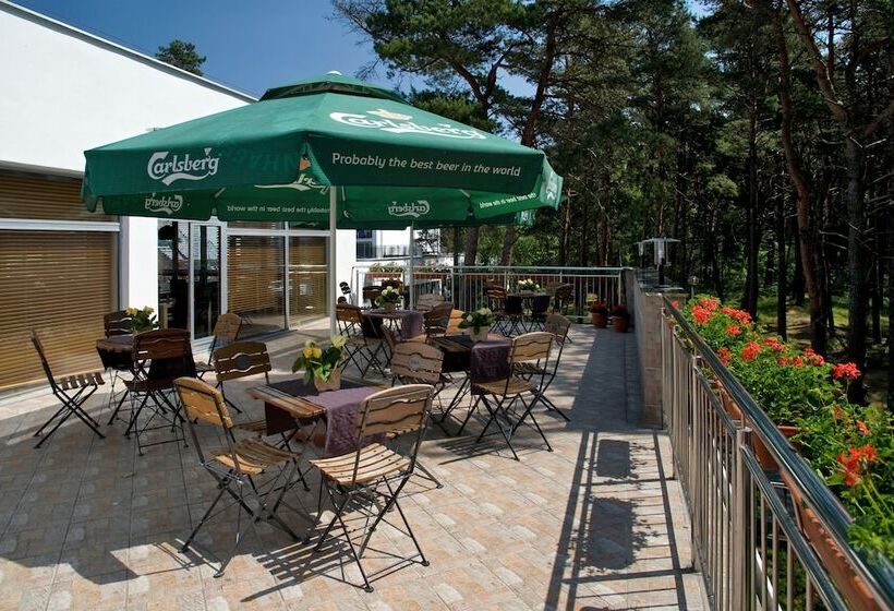 בית מלון כפרי Orle