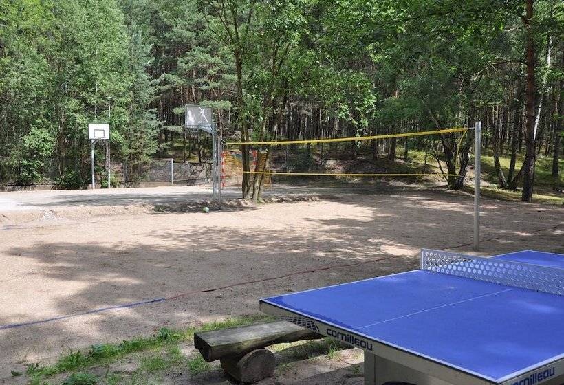 בית מלון כפרי Orle