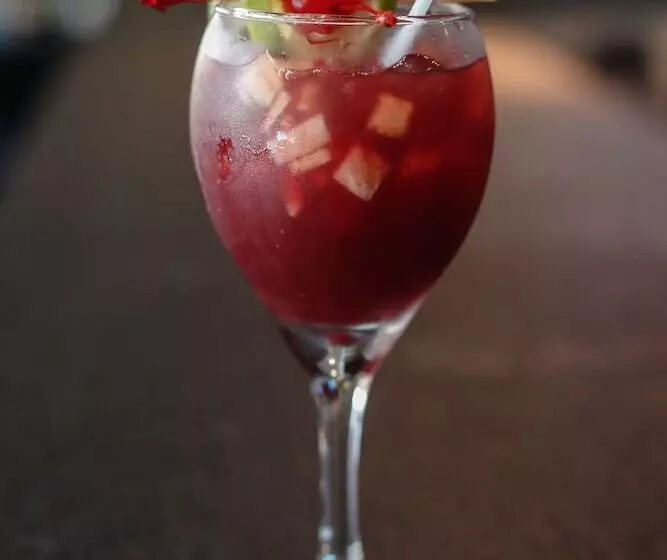 Отель Plaza Paitilla Inn