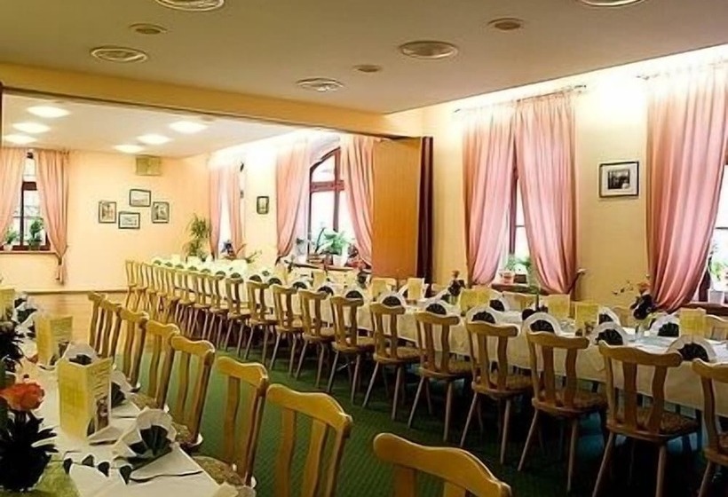 Logis Hotel Stadt Neustadt