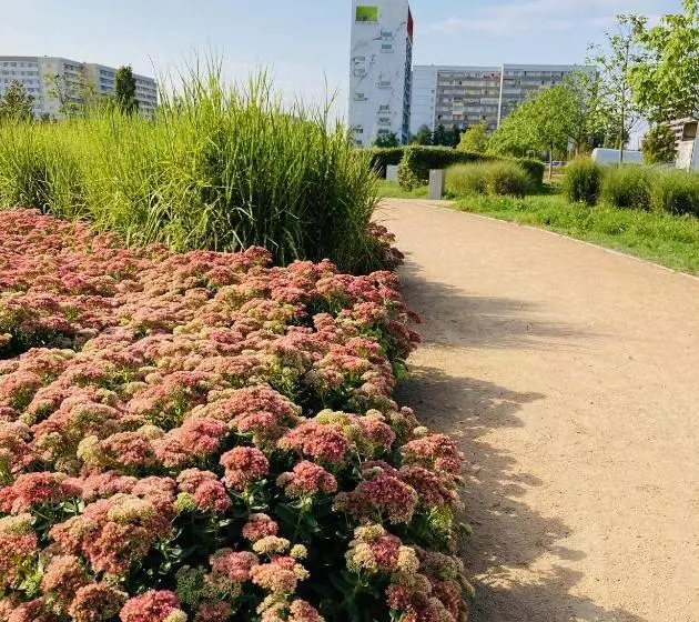 Akzent Congresshotel Hoyerswerda