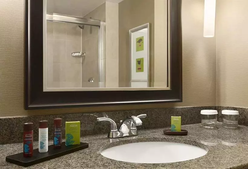 Embassy Suites Hotel Intl Airport