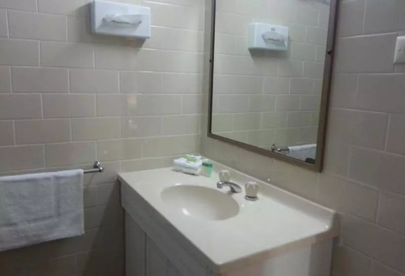 فندق Big Valley Lakeside Paradise Motor Inn