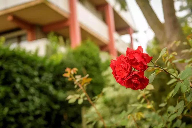 酒店 Campanile And Restaurant Gorinchem