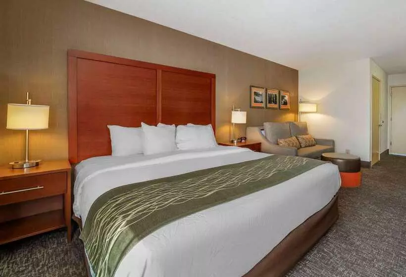 酒店 Comfort Inn Humboldt Bay