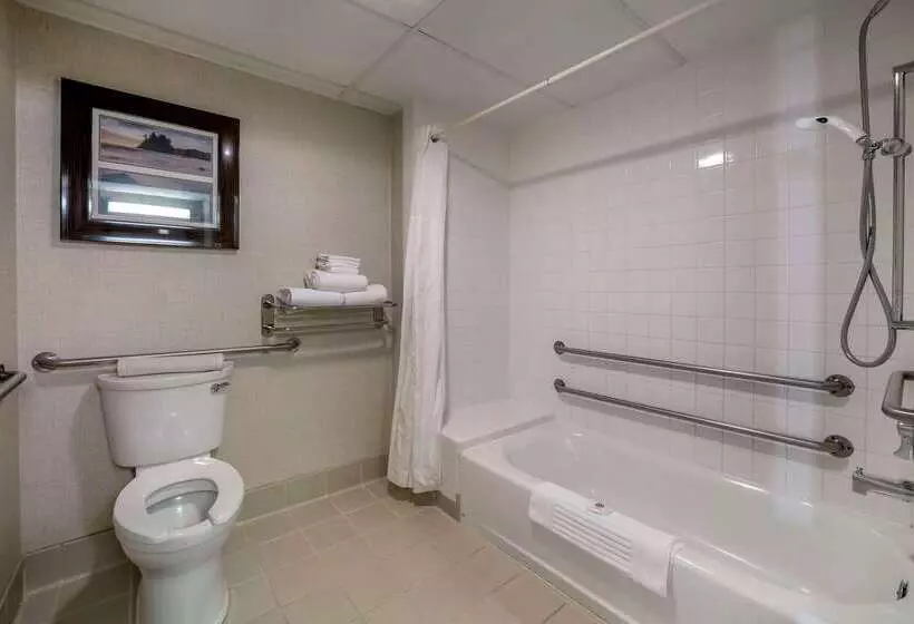 酒店 Comfort Inn Humboldt Bay