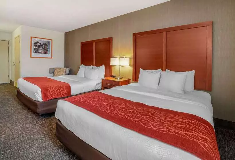 酒店 Comfort Inn Humboldt Bay