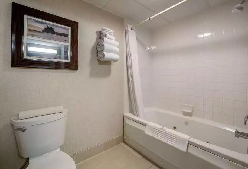 酒店 Comfort Inn Humboldt Bay