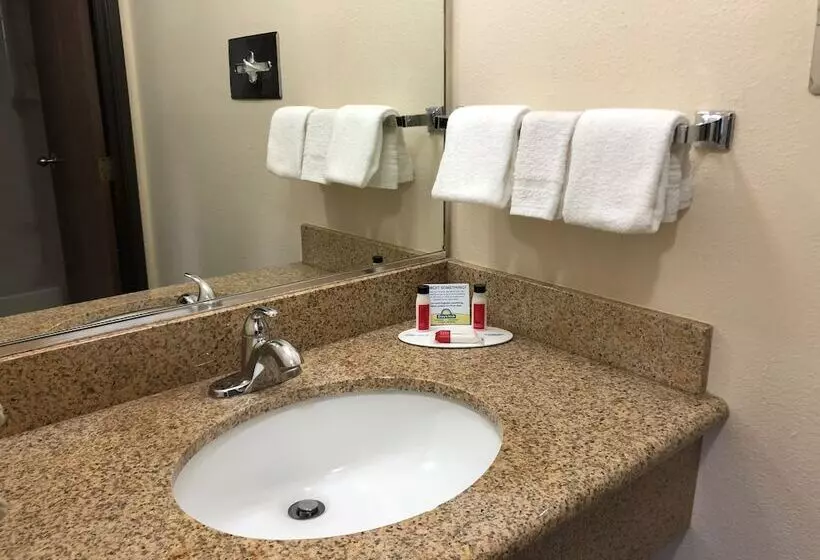 酒店 Days Inn By Wyndham Rio Rancho