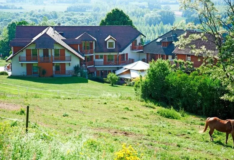 Отель Hôtel Les Bergeronnettes