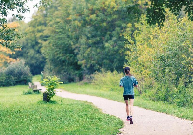 هتل Ibis Styles Le Mans Gare Sud