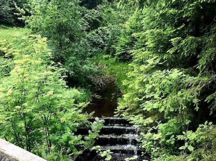 호텔 Wellness & Genuss Resort   Engel Obertal