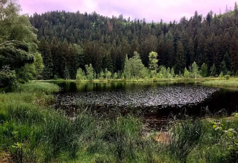 호텔 Wellness & Genuss Resort   Engel Obertal