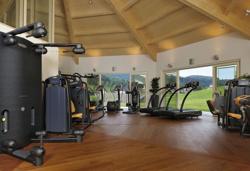 Отель Wellness & Genuss Resort   Engel Obertal