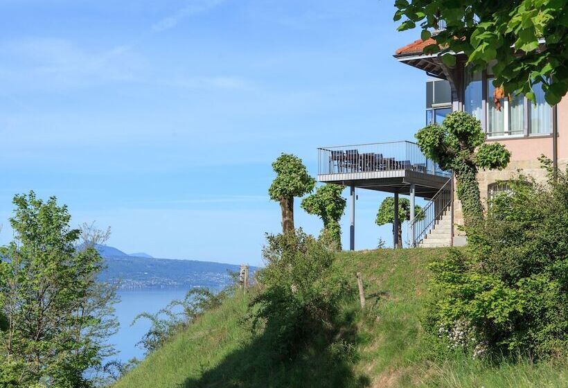 Отель Prealpina