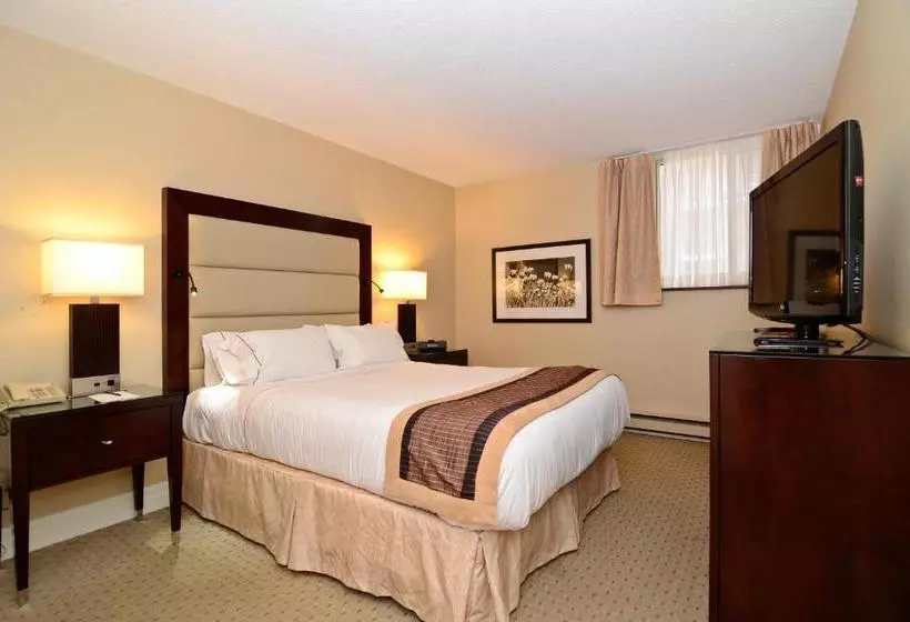 בית מלון כפרי Albert At Bay Suite