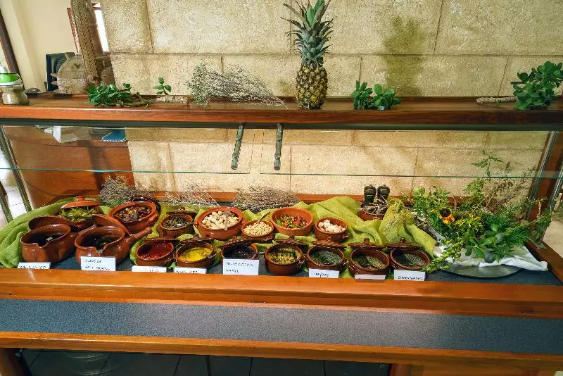 Отель Alianthos Beach