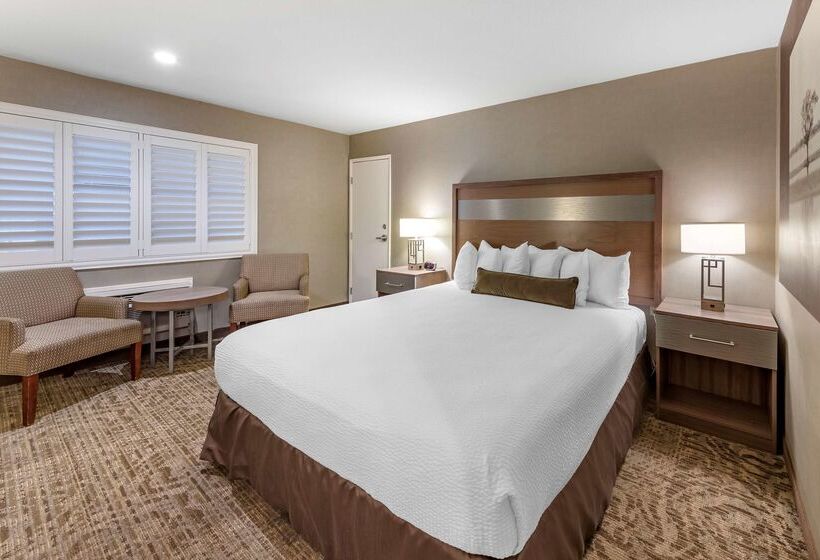 호텔 Best Western Plus Anaheim Inn