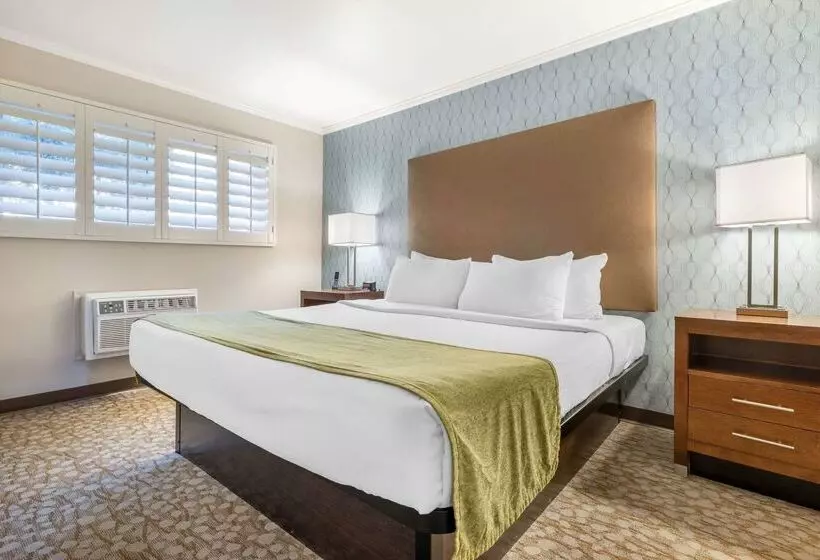 ホテル Best Western Plus Beach View Lodge Carlsbad