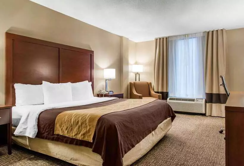ホテル Comfort Inn Msp Airport Mall Of America