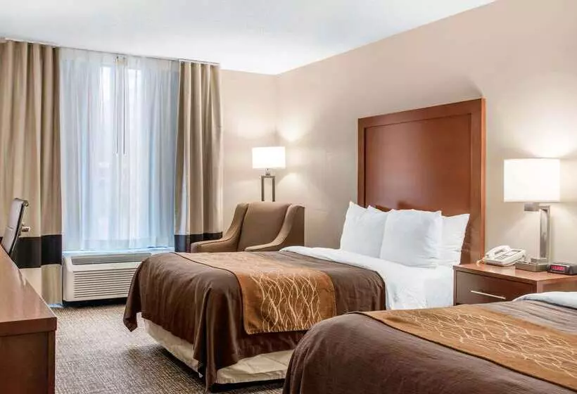 ホテル Comfort Inn Msp Airport Mall Of America