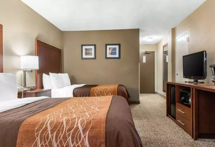 ホテル Comfort Inn Msp Airport Mall Of America