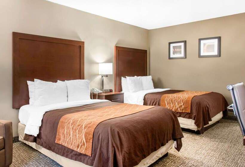 Szálloda Comfort Inn Msp Airport  Mall Of America