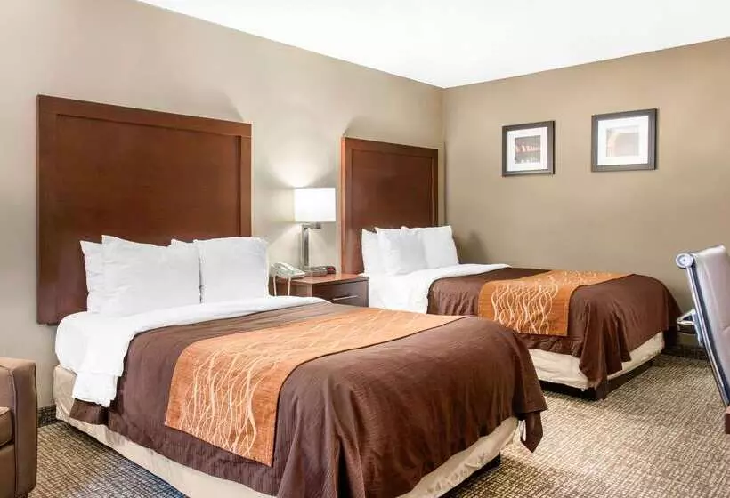 ホテル Comfort Inn Msp Airport Mall Of America