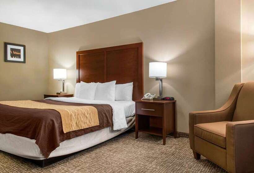 Szálloda Comfort Inn Msp Airport  Mall Of America