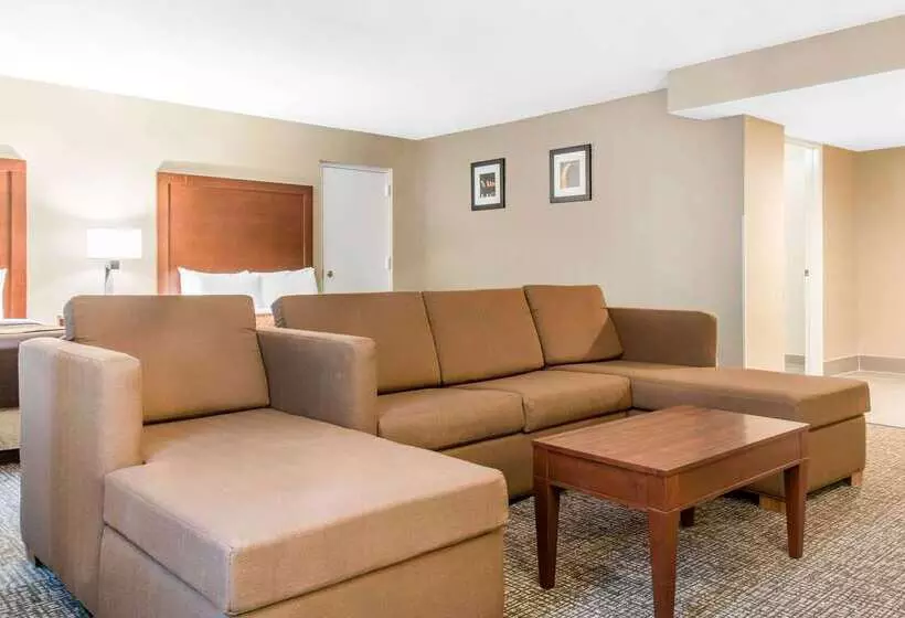 ホテル Comfort Inn Msp Airport Mall Of America