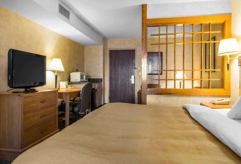 Otel Comfort Inn & Suites