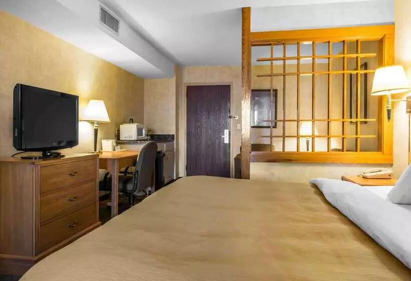 هتل Comfort Inn & Suites