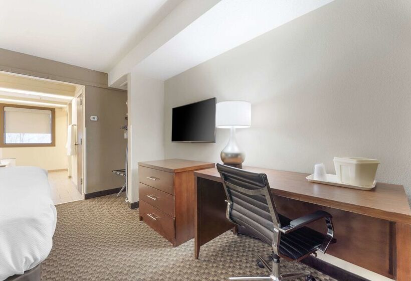 Otel Comfort Inn & Suites