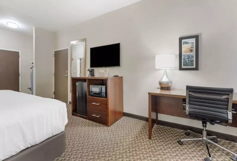 هتل Comfort Inn & Suites