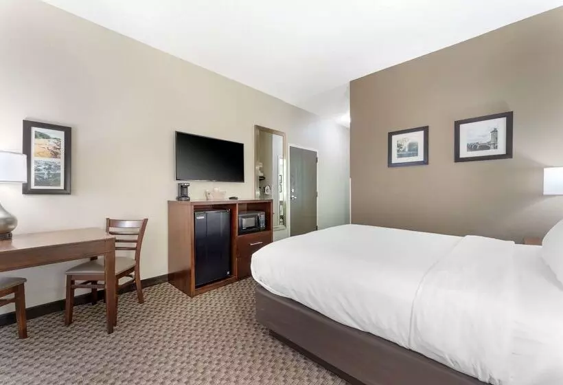 هتل Comfort Inn & Suites