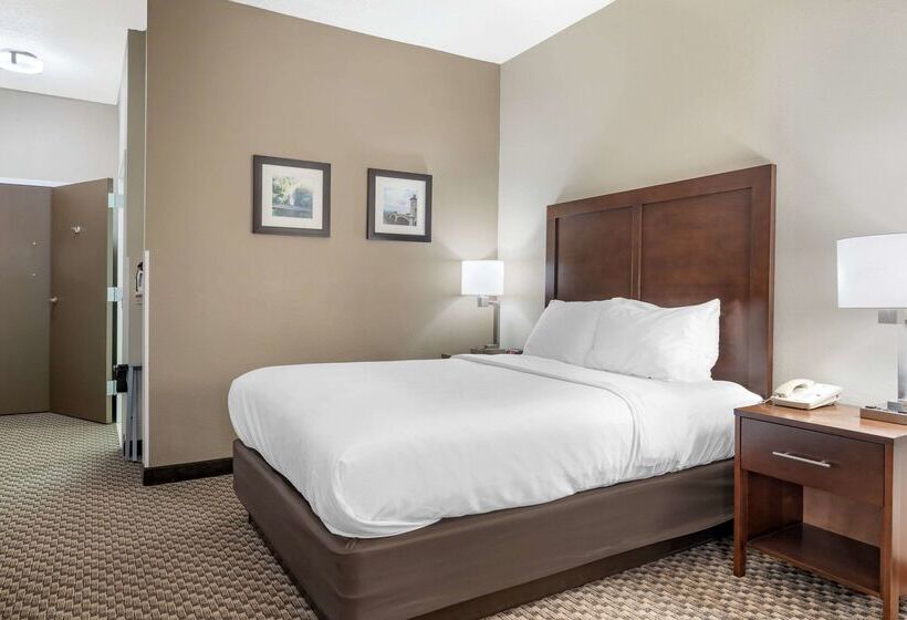 Otel Comfort Inn & Suites