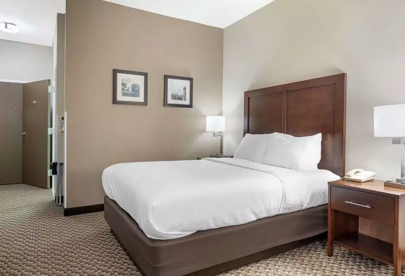 هتل Comfort Inn & Suites