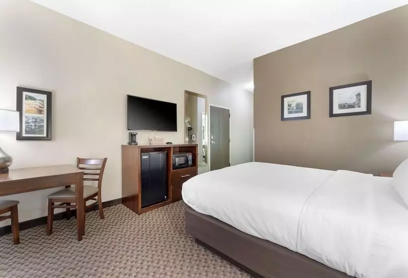 هتل Comfort Inn & Suites