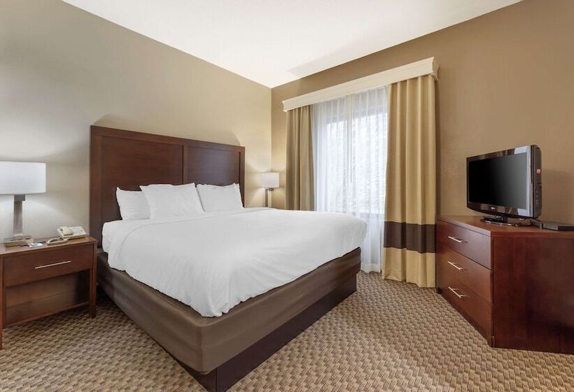 Otel Comfort Inn & Suites